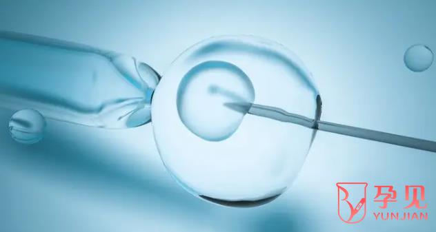 多囊卵巢综合征可以做试管婴儿吗