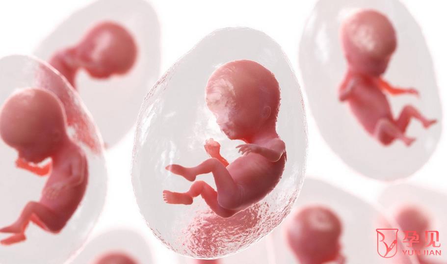 人工授精和自然受精哪个胎儿更健康